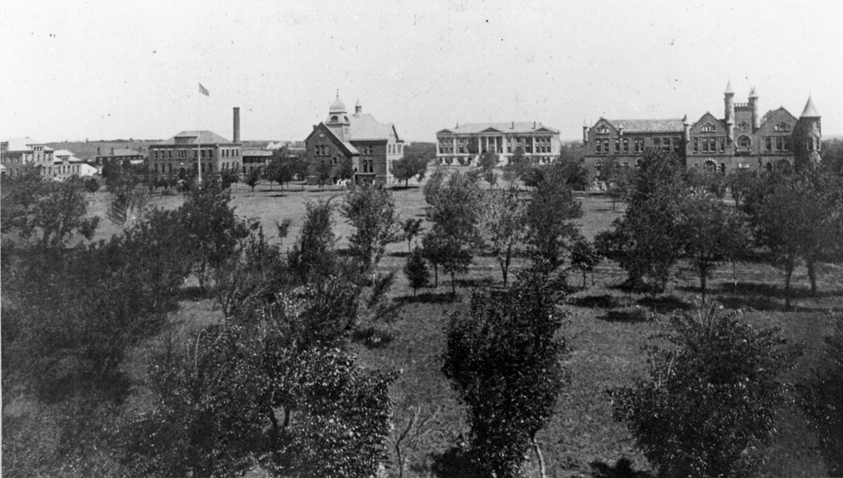 Early growth Early growth