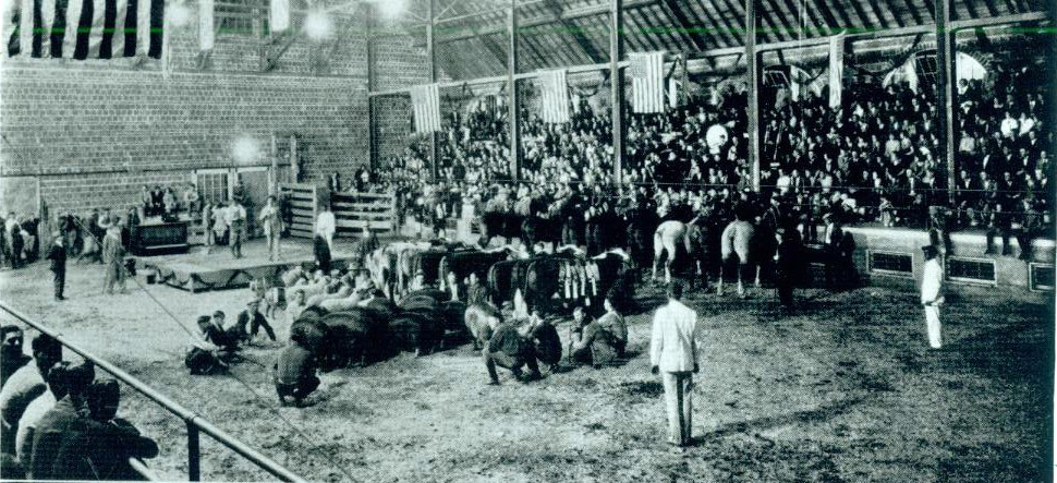 Animal Husbandry Building and Livestock Pavilion opened