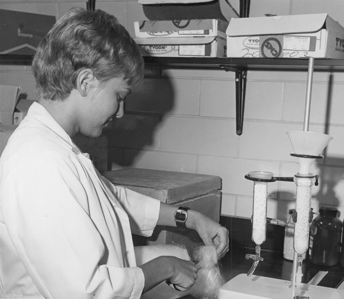 A doctorate in home economics A doctorate in home economics