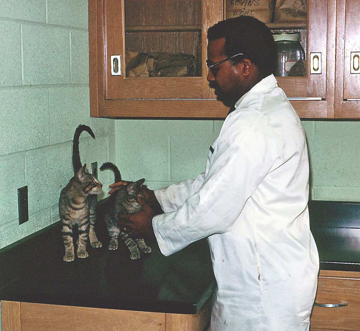 First tenured black professor First tenured black professor