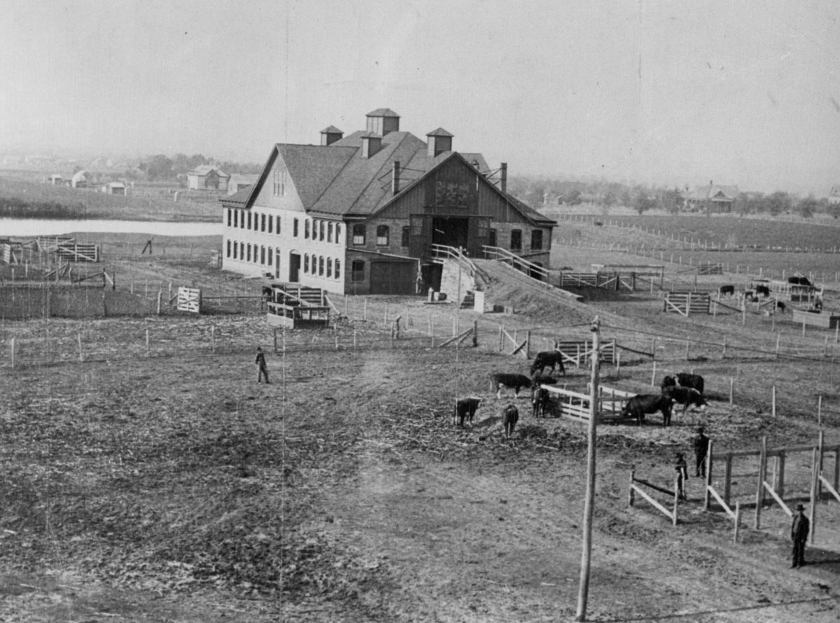 College Barn College Barn