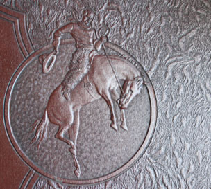 Movement for new nickname: Cowboys Movement for new nickname: Cowboys